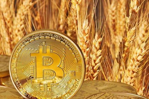 什么是以太坊？以太坊是區(qū)塊鏈平臺還是比特幣交易平臺？