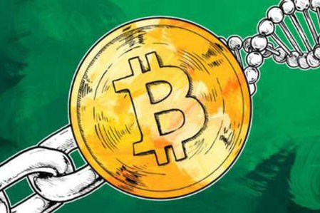 為什么說加密對沖基金并不高尚？