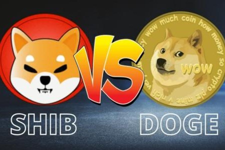以太坊V神銷毀67億美元柴犬幣，以報答柴犬幣持有者