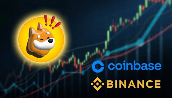 BONK價格在Binance和Coinbase上市后的下一步是什么？