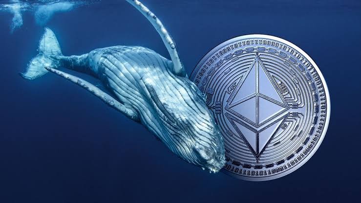 神秘的以太坊鯨魚從陰影中浮現(xiàn)引發(fā)大規(guī)模拋售