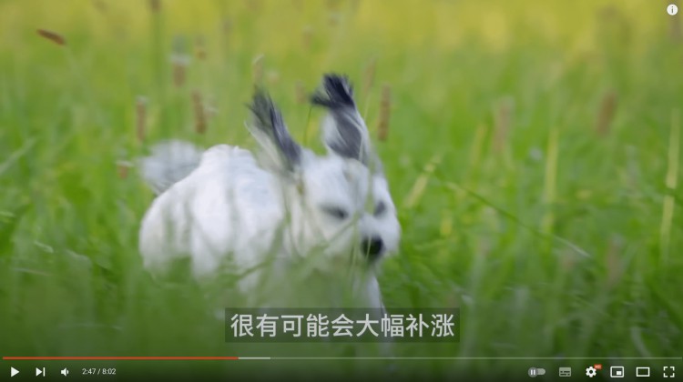 小道消息這枚幣即將暴漲我要增加我的職位比特幣的巨大福利來了現(xiàn)在該怎么做呢不要誤判看看聰明的錢是如何運(yùn)作的比特幣ETF又出來了有人泄密了嗎孫宇晨突然砸碎了硬幣巨頭谷歌宣布進(jìn)軍加密貨幣行業(yè)