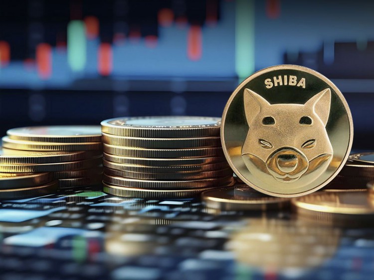 [尼約宇宙]柴犬 (SHIB) 恢復(fù)，持有者只剩下 38%
