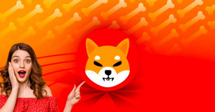 Shiba Inu（SHIB）獲取.shib域名以提高Web3體驗
