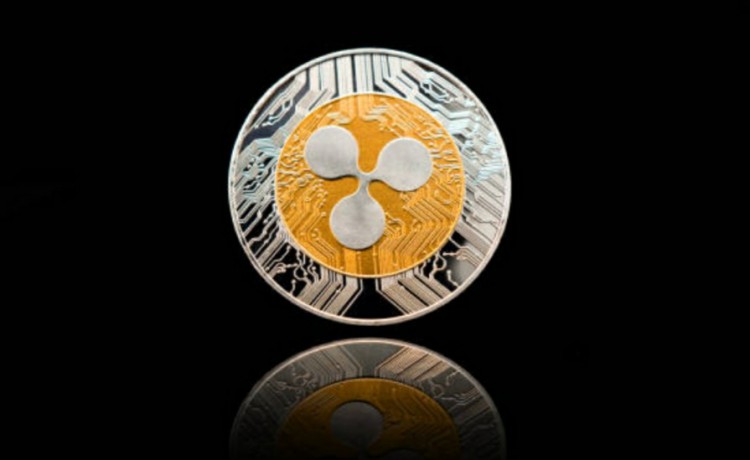[埃莉諾EYpk.verse]主要瑞波幣（XRP）開發(fā)