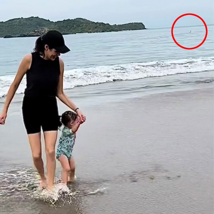 [喜悅]視頻意外捕捉到墨西哥度假時(shí)致命的鯊魚襲擊