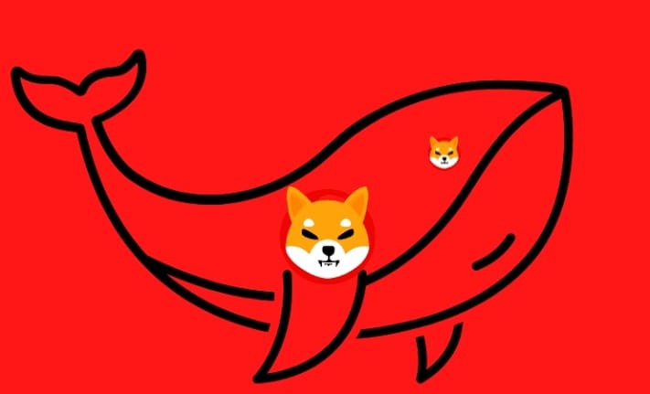 SHIB價(jià)格暴漲暴跌鯨魚(yú)的行動(dòng)揭秘