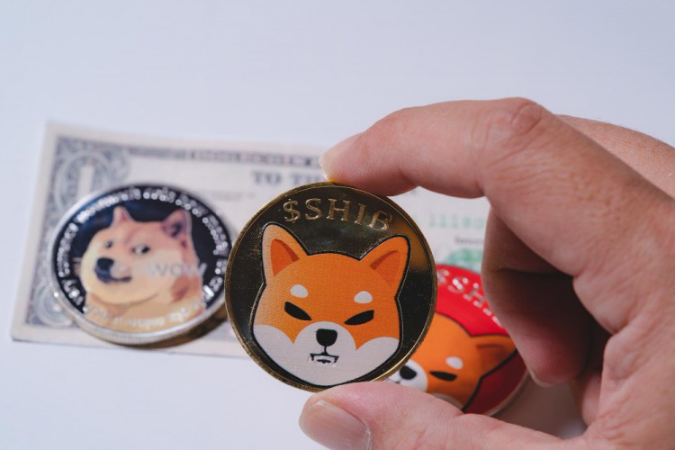 [尼約宇宙]揭秘加密貨幣的最新發(fā)展
