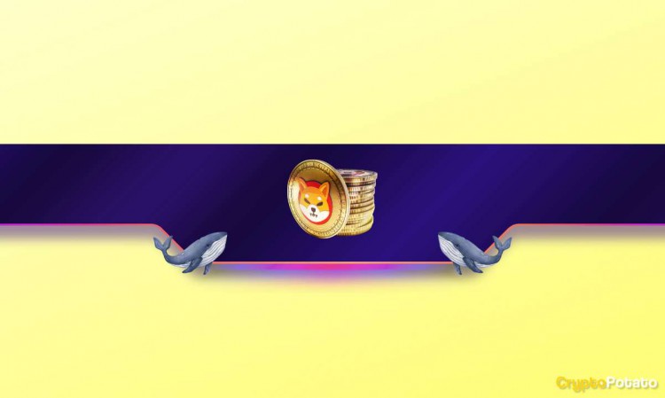隨著鯨魚的介入，柴犬 (SHIB) 價格一個月內漲幅總計超過 30%
