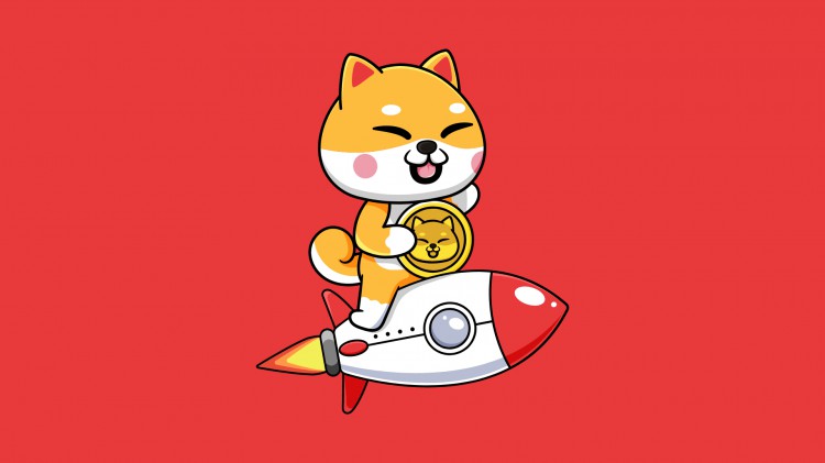 未來比特幣對柴犬價格的影響