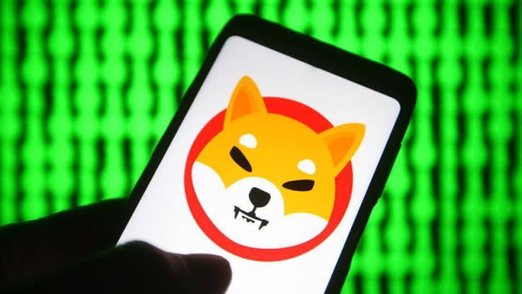 柴犬2024年的夢想