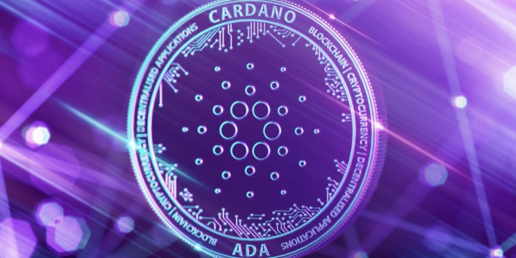 [尼約宇宙]樂(lè)觀主義（OP）和卡爾達(dá)諾（ADA）投資者蜂擁而至