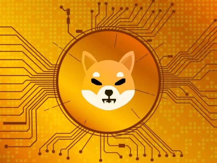 SHIBAINU0001美元賺到100萬900萬或2000萬美元的可能性