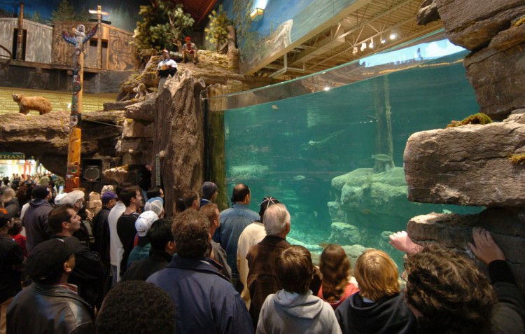 一名精神病男子因涉嫌裸體潛入BASSPROSHOP水族館而被捕