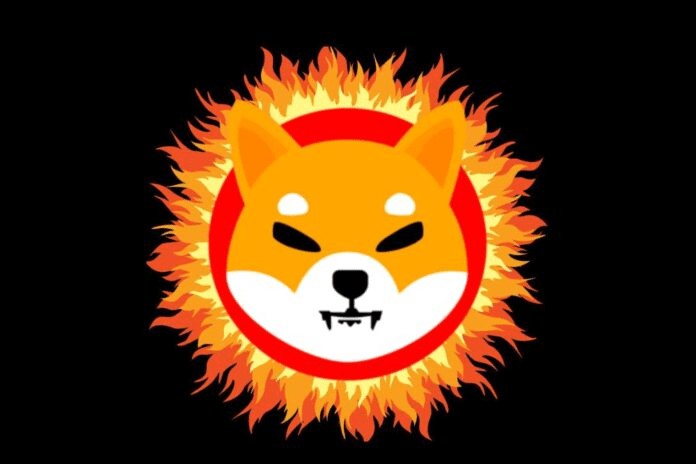 柴犬的自動(dòng)銷毀門戶詳解