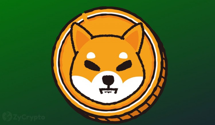 溫世博月？柴犬鯨魚在 SHIB 購買上失控，交易量達(dá)到數(shù)萬億
