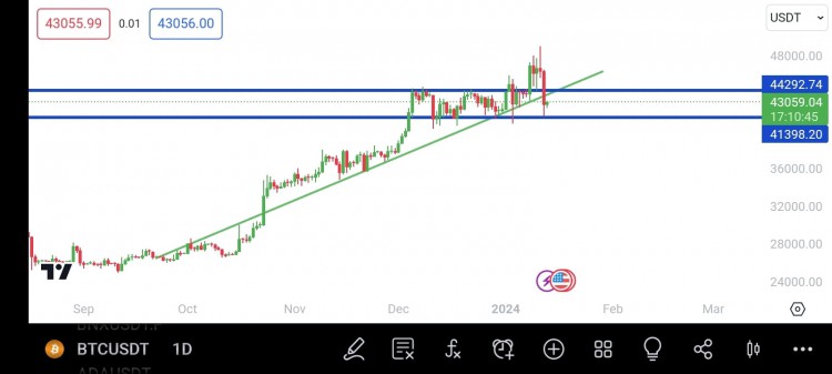 BTC逆勢而行市場震驚