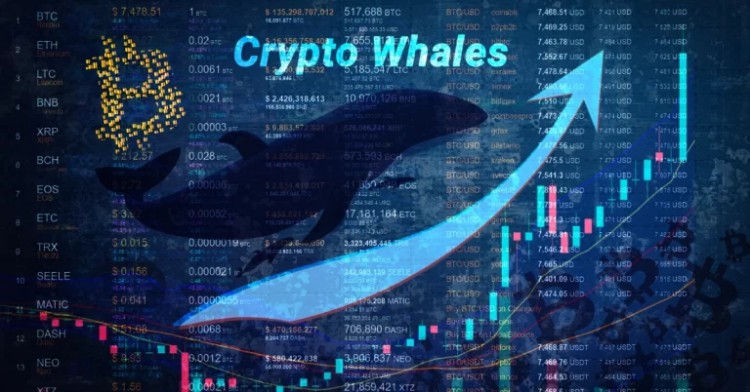 [烏西丹加拉迪馬]CryptoQuan：美國(guó)金融公司更喜歡 USDC 而非 USDT