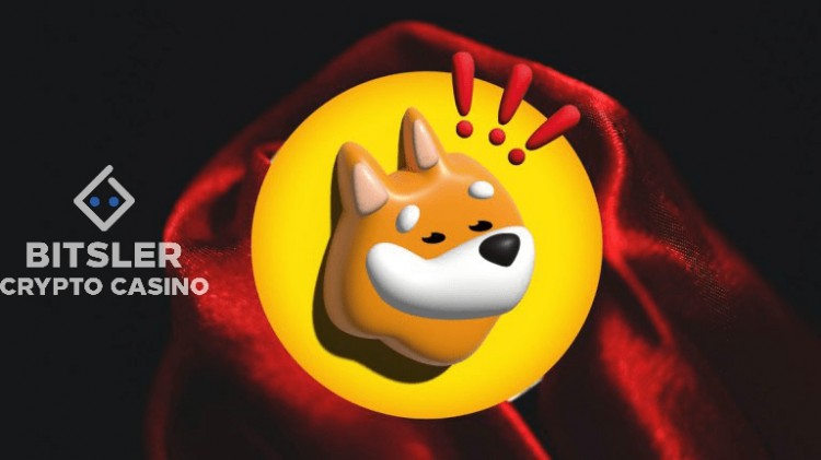 2025年1000美元的BONK投資收益會是多少