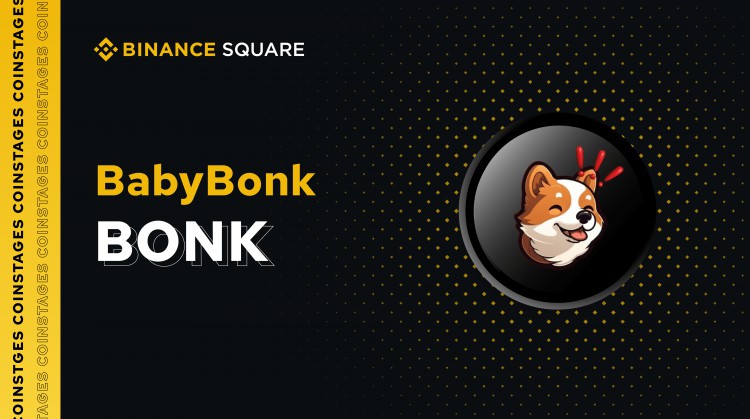 BabyBonk 在一個(gè)月內(nèi)從 55,000 美元 MCAP 到 600 萬(wàn)美元 MCAP 的非凡旅