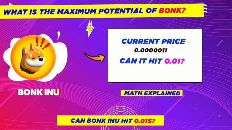 2024年BONK價格預(yù)測
