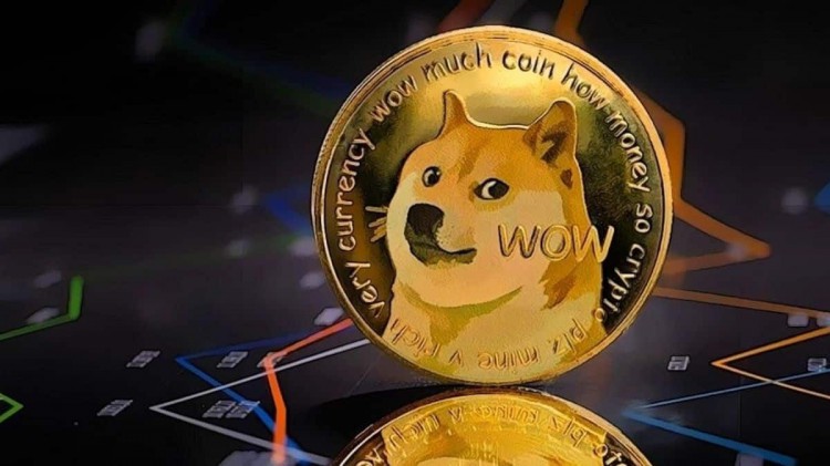 午餐時間投資1000美元DOGE幣收益