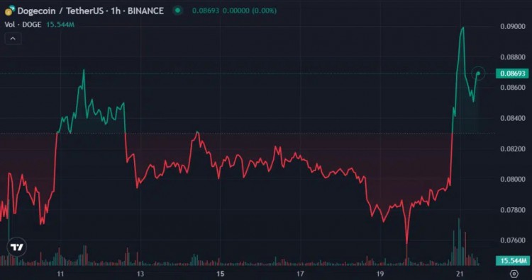 [阿扎達(dá)爾·賽恩]狗狗幣逆勢(shì)上漲 7%