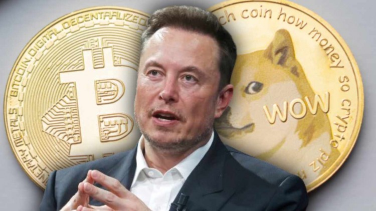 [加密王]埃隆·馬斯克、特斯拉和 SpaceX 維持加密貨幣 Holdi