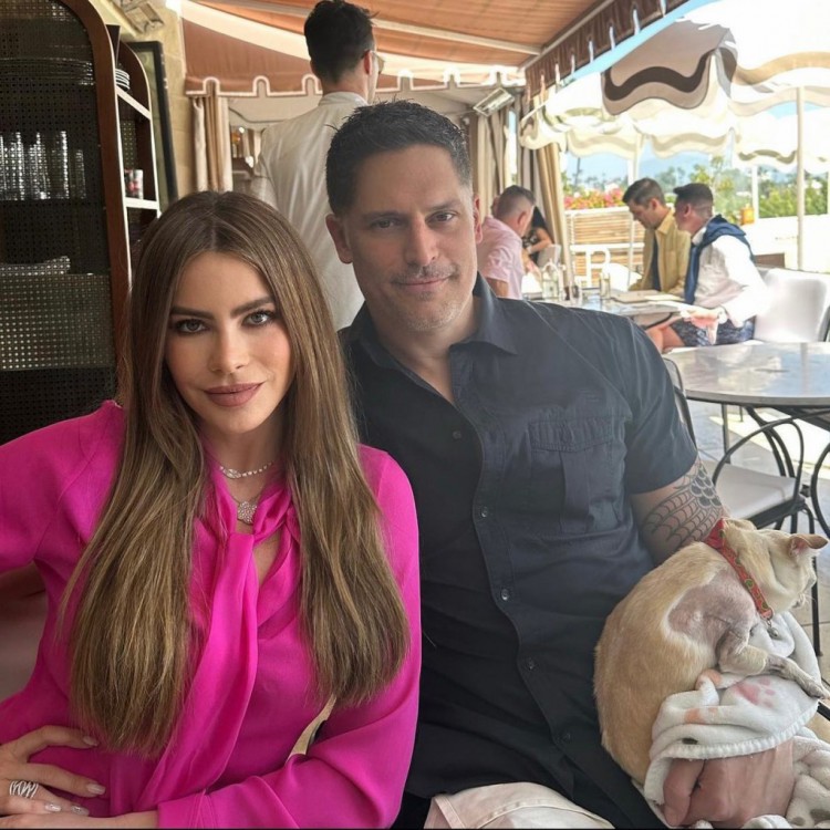 索菲亞維加拉SOFíAVERGARA不想在喬曼加尼羅JOEMANGANIELLO的婚姻中成為老媽媽這對孩子不公平