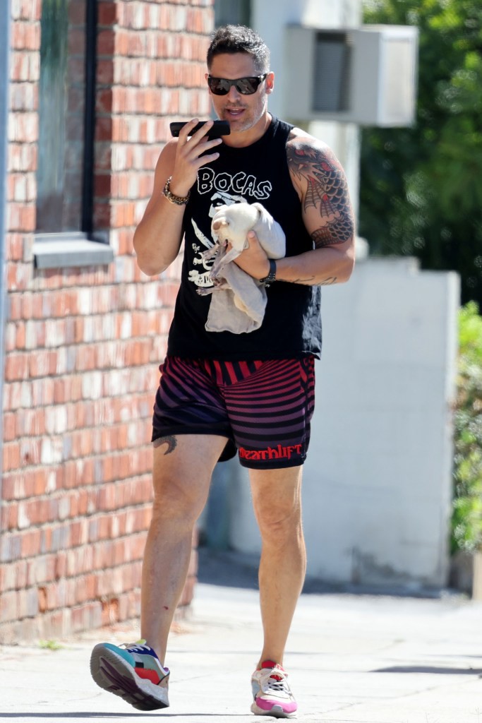 索菲亞維加拉SOFíAVERGARA不想在喬曼加尼羅JOEMANGANIELLO的婚姻中成為老媽媽這對孩子不公平