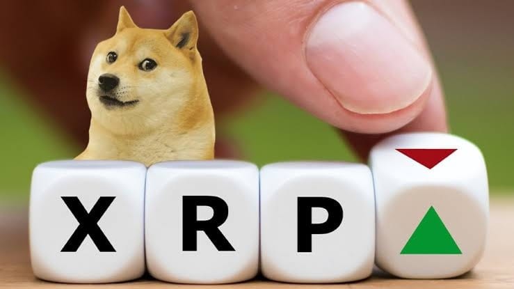 狗狗幣創(chuàng)始人回應(yīng)Ripple CEO：DOGE本質(zhì)上和BTC是一樣的狗狗幣挑戰(zhàn)Ripple CE