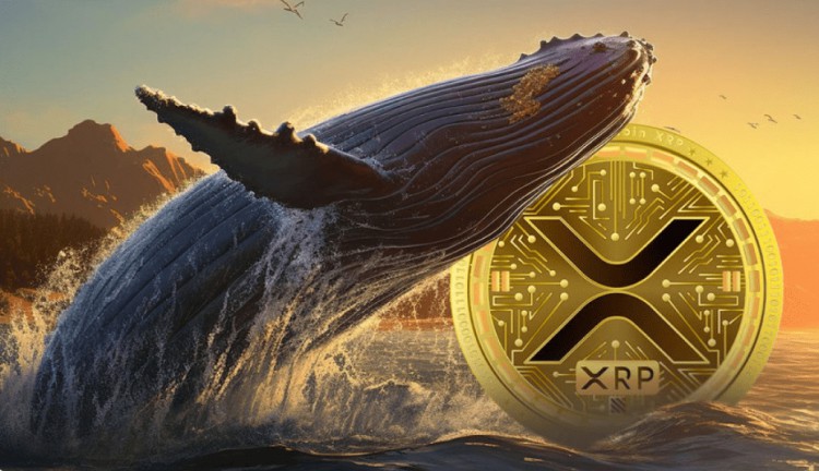 XRP鯨魚活動引發(fā)市場關(guān)注