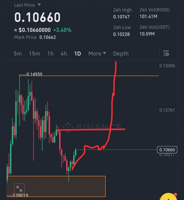 成為百萬富翁的替代幣OASISNETWORKROSE