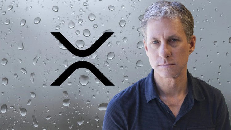 RIPPLE高管CHRISLARSEN的XRP賬戶非法