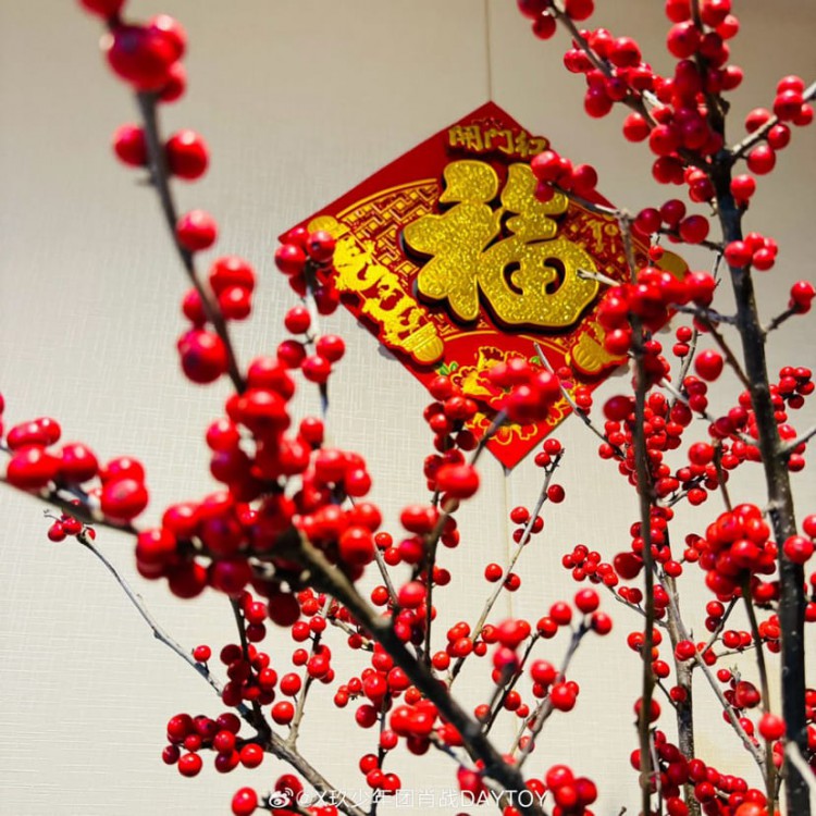 最引人注目的替代幣領域
