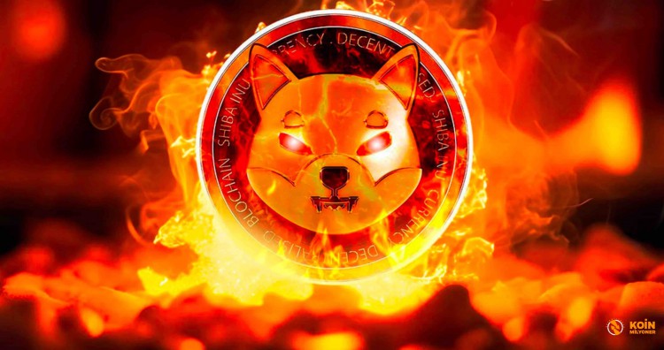 SHIBAINU代幣銷毀預測