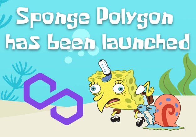 隨著交易員支持新的POLYGONMEMECOINSPONGEV2爆炸BONK價格下跌10
