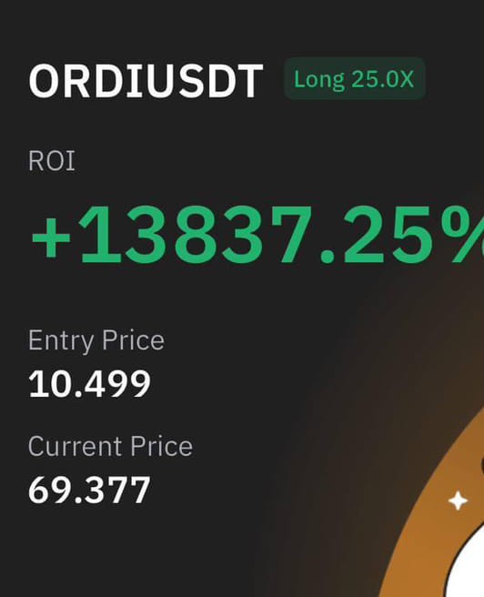 HODL解釋ORDI可能漲到100美元