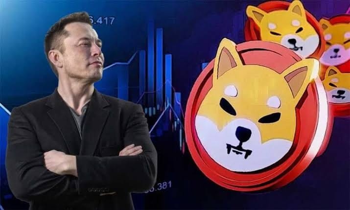 埃隆馬斯克對(duì)柴犬的喜愛