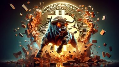 陽光下的溫暖