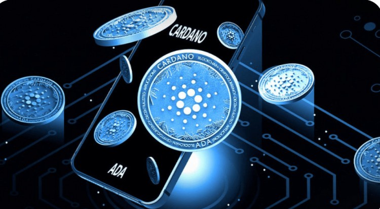 卡爾達(dá)諾社交關(guān)注度超越比特幣