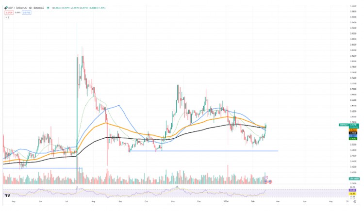 XRP2024年價(jià)格關(guān)鍵水平預(yù)測(cè)