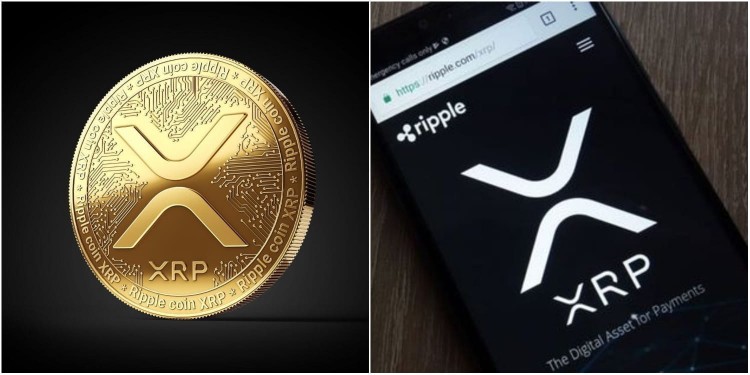 XRP5美元預測EGRAGCRYPTO的令人興奮的見解