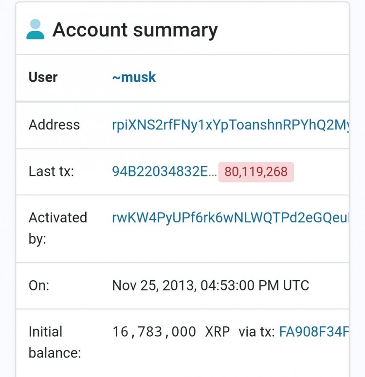 Ripple 的 XRP 價格 ATH 警報！神秘的馬斯克錢包引發(fā)看漲熱潮