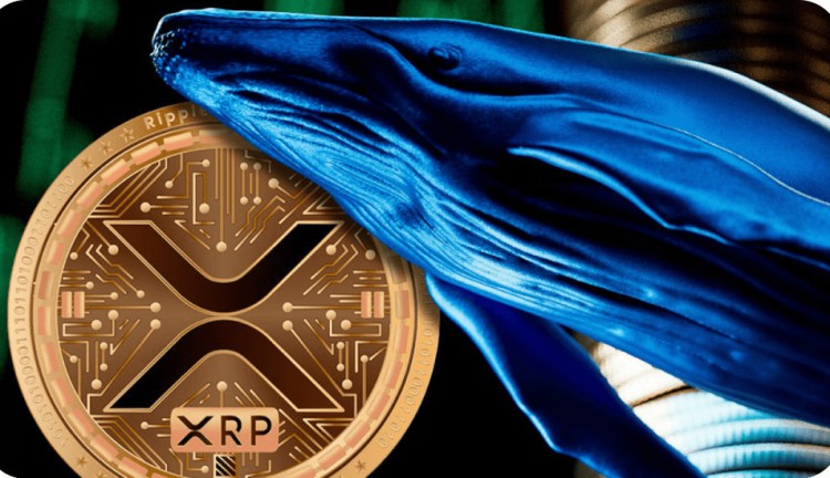XRP鯨魚轉(zhuǎn)移數(shù)百萬幣測(cè)試053美元支撐徘徊057美元上下加密貨幣交易所活躍