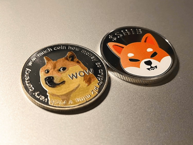 ?柴犬硬幣會達(dá)到 50 美分嗎？全部真相?