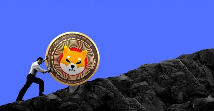 狗狗幣能否達(dá)到1美元