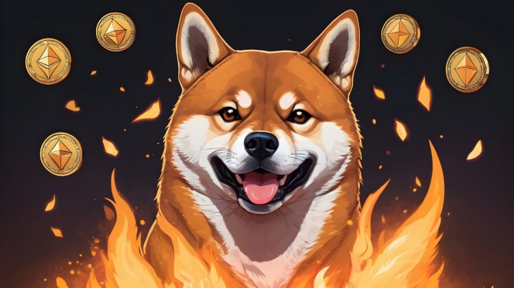 Crypto Burn：為什么選擇 Shiba Inu、Ether Burn 代幣？