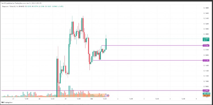 DOGE 3 月 1 日價(jià)格預(yù)測(cè) DOGE/USD