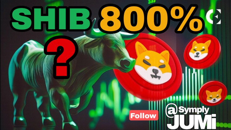 SHIB800反彈創(chuàng)紀(jì)錄